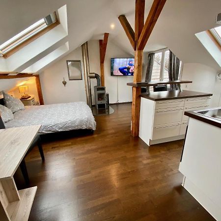 Wohnen Ueber Den Daechern Von Ravensburg, Stadtnah, Kamin, Klima Apartment Екстериор снимка