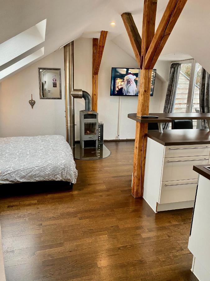 Wohnen Ueber Den Daechern Von Ravensburg, Stadtnah, Kamin, Klima Apartment Екстериор снимка