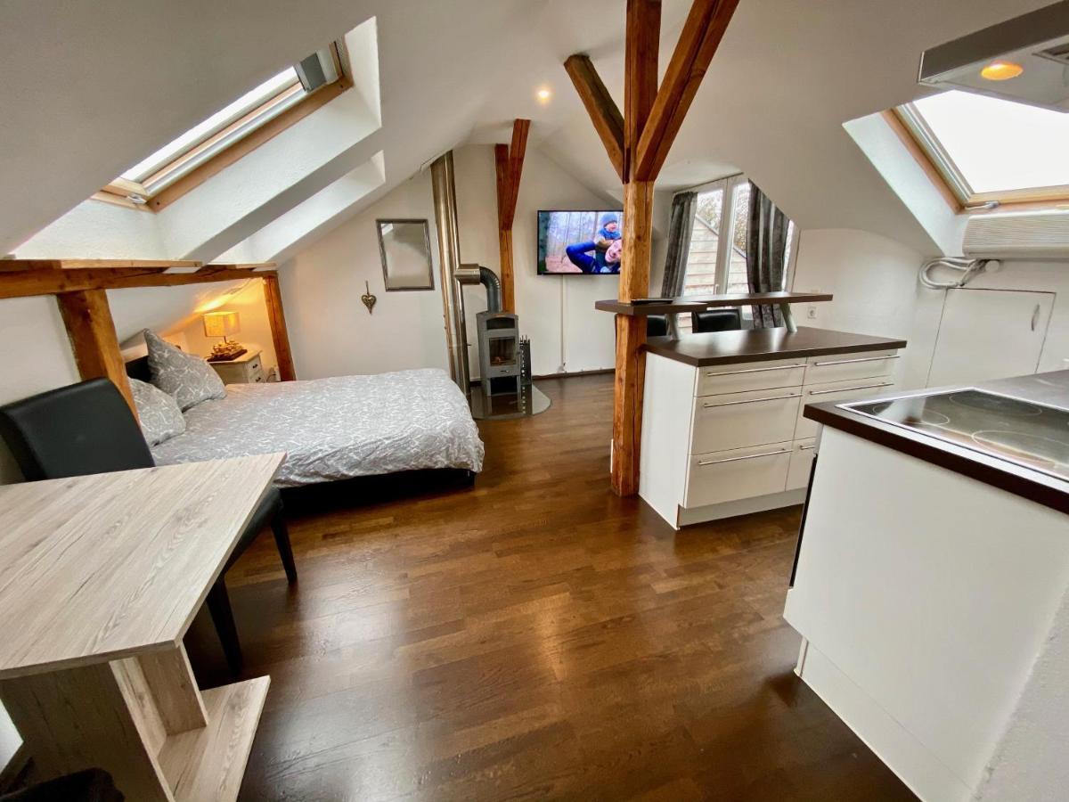 Wohnen Ueber Den Daechern Von Ravensburg, Stadtnah, Kamin, Klima Apartment Екстериор снимка